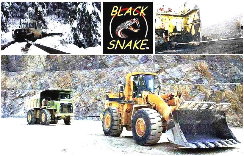 Black Snake Lines