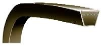 V-Belts - Rexon SPB