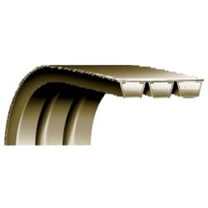 V-Belts - Rexon SPB Power Band