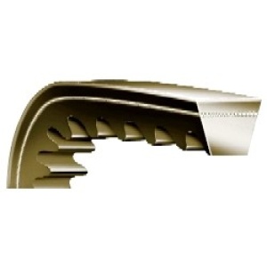 V-Belts - Rexon SPBX Notched