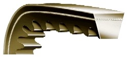 V-Belts - Rexon SPBX Notched
