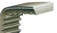 V-Belts - Rexon Variable Speed