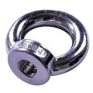 Metric Stainless Collard Eye Nut - AISI316 DIN582