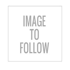 1.0m x 50mm Orange-Web Restraint Line 6XL c/w Delta Link & DA Hk