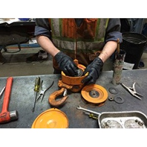 Inspection - Service Manual Hoist (Per Item)