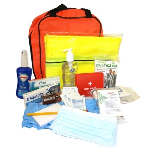 Pandemic Survival Kit