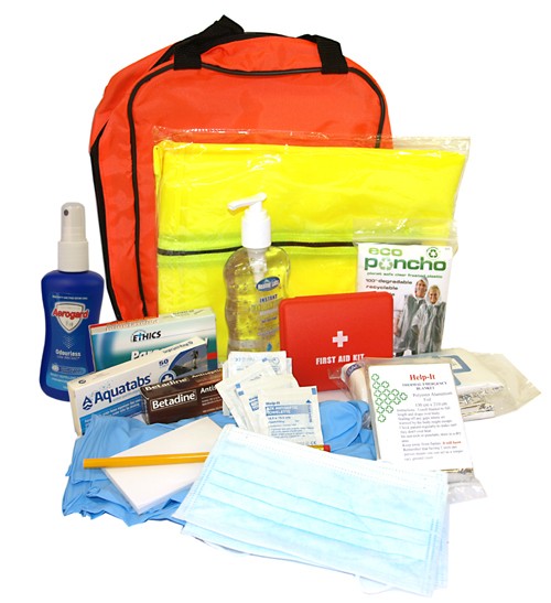Pandemic Survival Kit